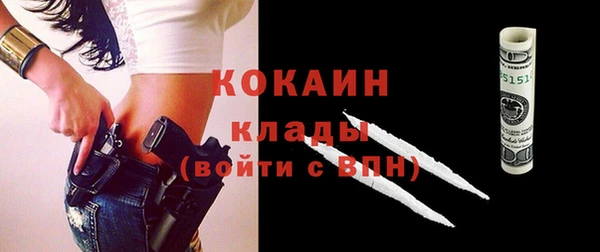 ешки Дмитриев
