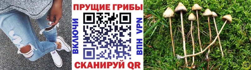 Галлюциногенные грибы Magic Shrooms  Пересвет 